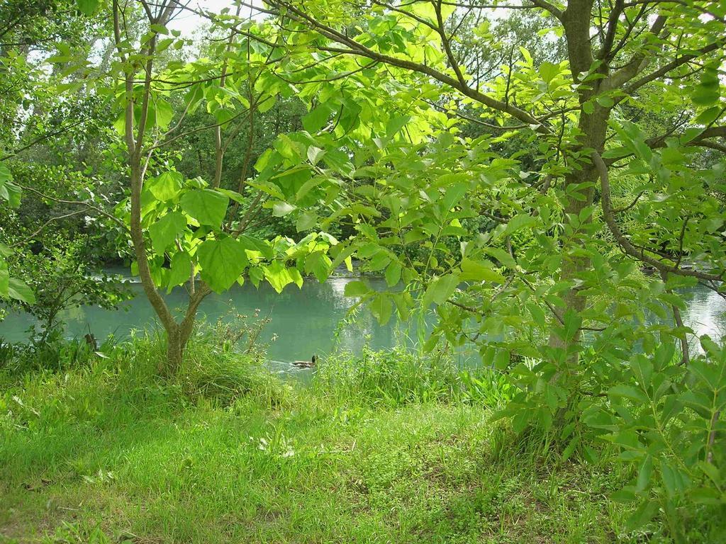 Maison Pres De L'Eau L'Isle-sur-la-Sorgue Kültér fotó